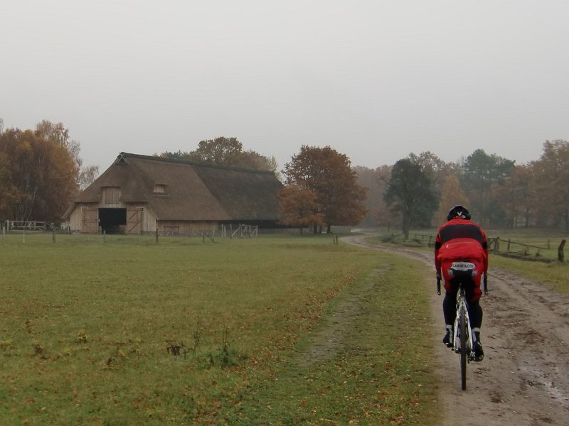 Wilseder Berg 1 2010 084